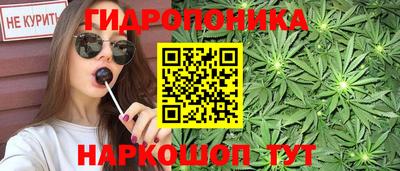 крисы Жуковский