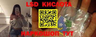 прущие грибы Заволжье