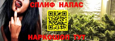 прущие грибы Заволжье