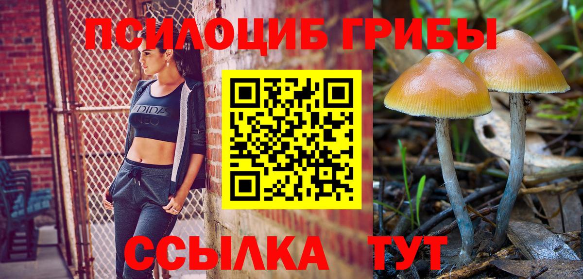 Искитим  как найти наркотики  Вход с VPN  Галлюциногенные грибы Cubensis 