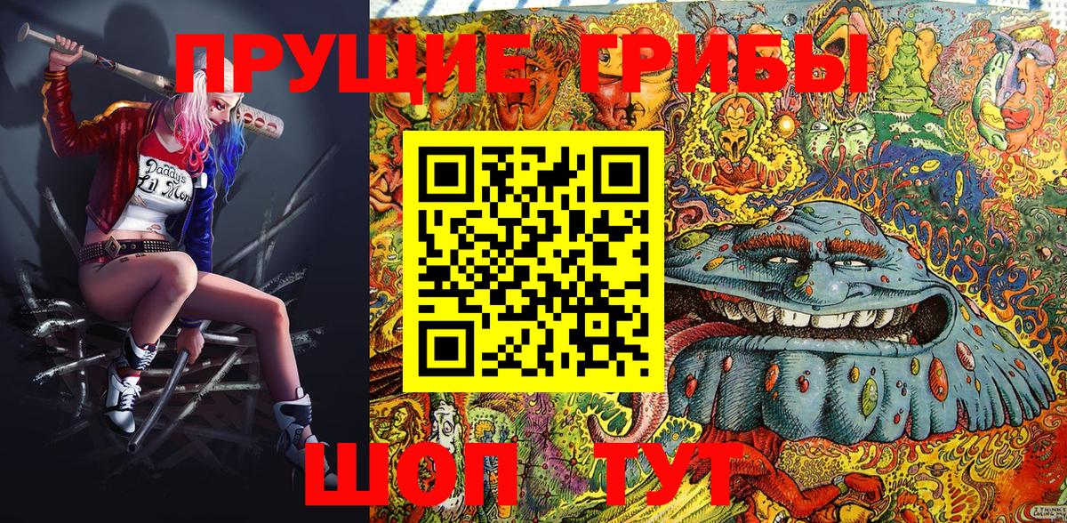 Галлюциногенные грибы Cubensis Искитим